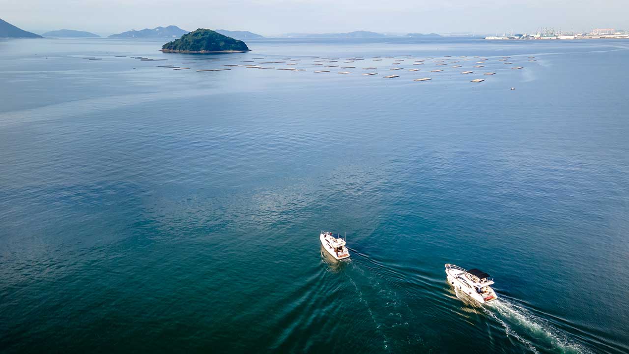 クルージング風景